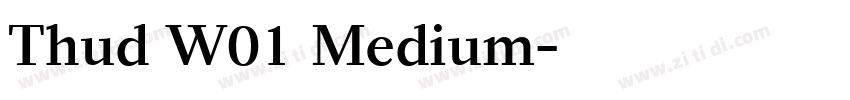 Thud W01 Medium字体转换